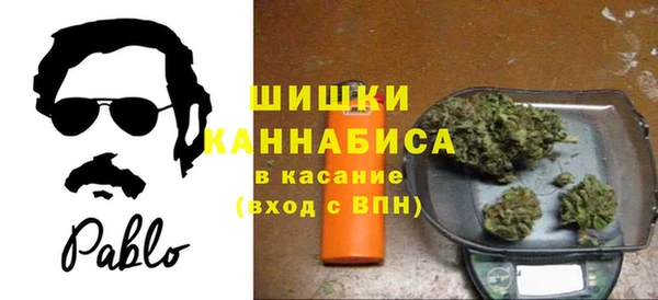 индика Абдулино