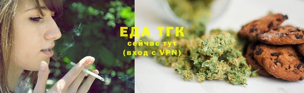 прущие грибы Абаза