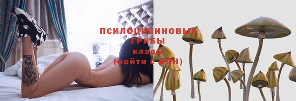 индика Абдулино