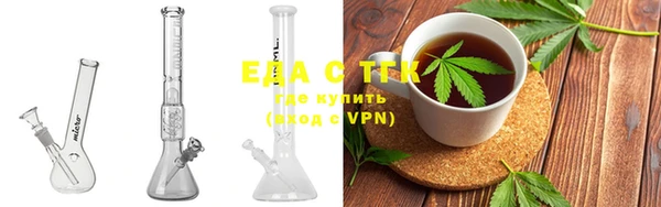 прущие грибы Абаза