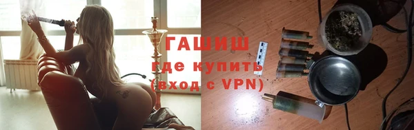 прущие грибы Абаза
