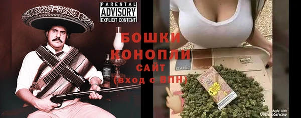 прущие грибы Абаза